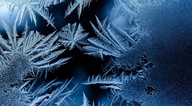 Clean Sweep: All Eight Cold Weather Shelter Applicants Pass ...