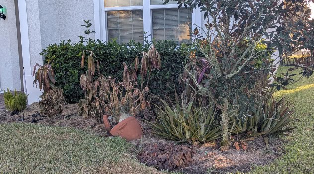 Benefits Of Mulch Mound Delivery For Bulk Yard Coverage