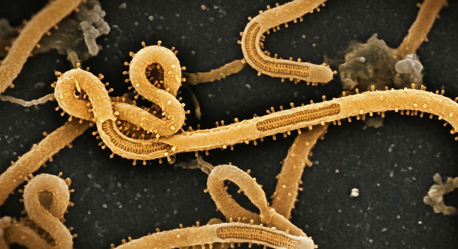 Ebola Outbreak In Eastern Congo Accelerates As Cases Surpass 4,300