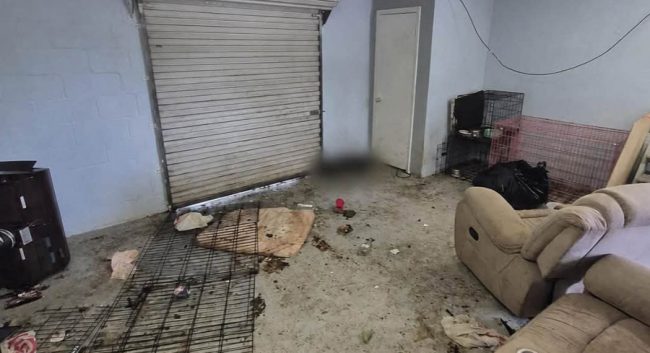 Alexia Veronica Barquet's Storage Unit (BPD)