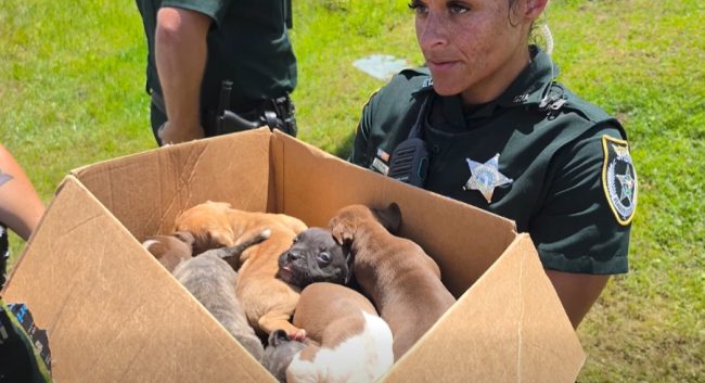 Flagler County Sheriff's Office