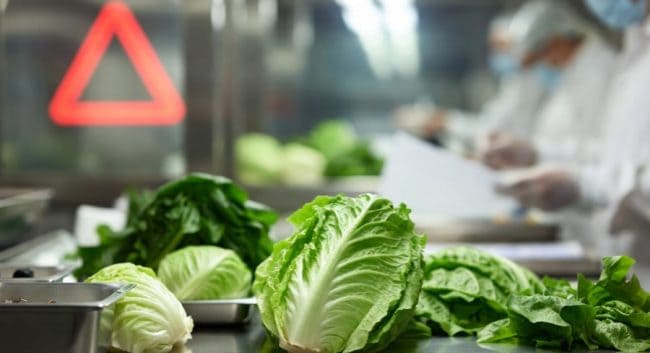 Lettuce (File)