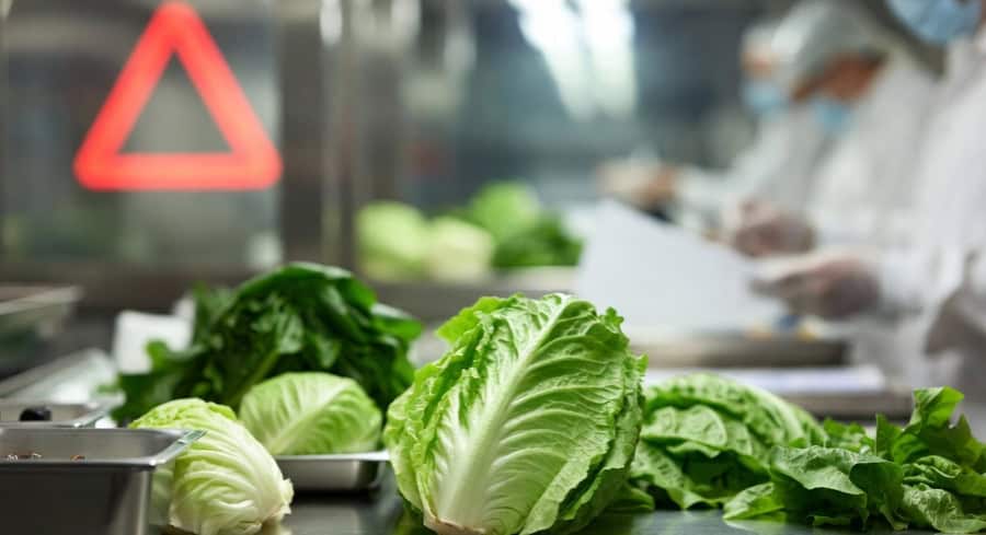 Michigan Reports First U.S. Deaths Linked To Cyclospora Outbreak