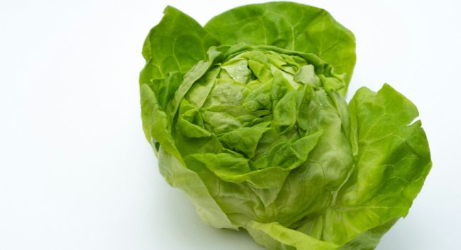 Lettuce (UnSplash)