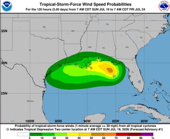 TROPICAL DEPRESSION TWO (NHC)