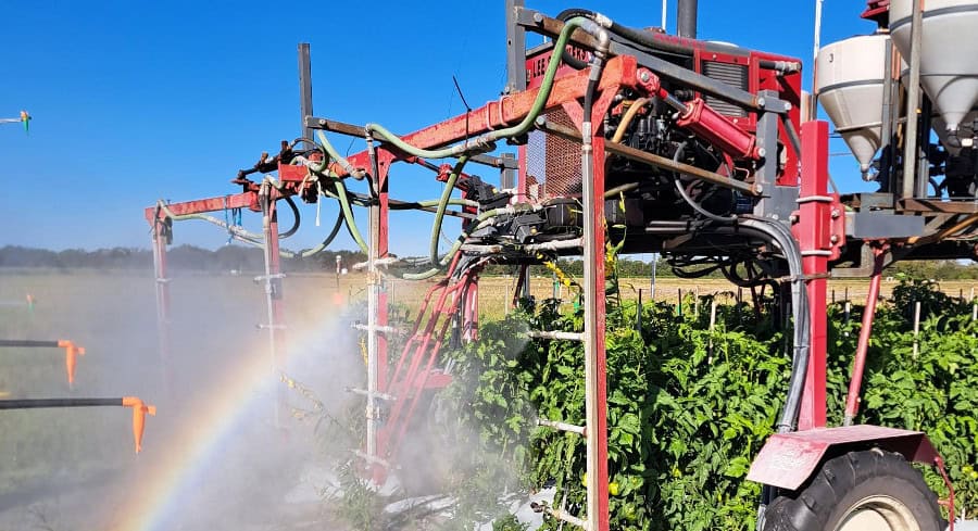 UF Study: Fungicide Sprays May Be Helping Bacterial Spot Disease Spread Through Tomato Fields UF Study: Fungicide Sprays May Be Helping Bacterial Spot Disease Spread Through Tomato Fields