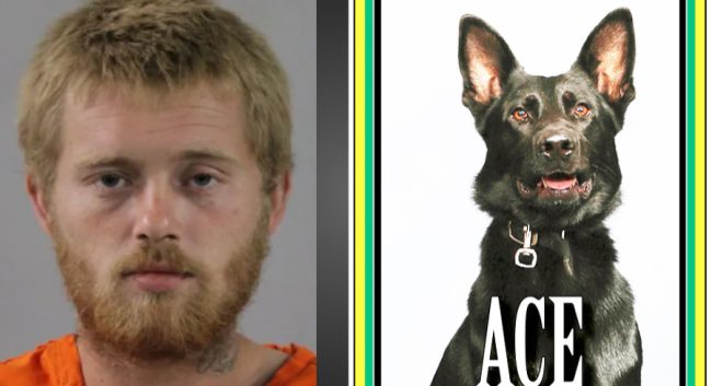 Angel Bowers, ACE (PCSO)
