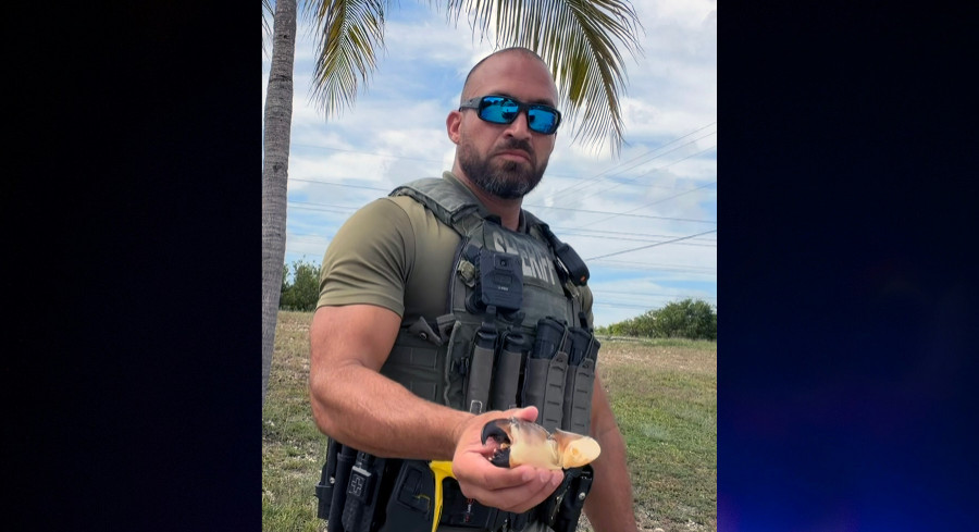 Virginia Man Cited For Out-Of-Season Stone Crab Claw In The Florida Keys