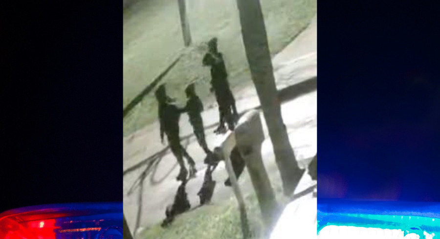 Pasco Deputies Search For 4 People Seen Near Hudson Kia Theft And Crash