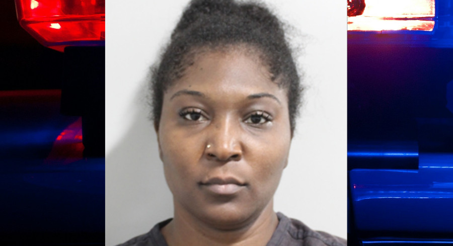 Ex-North Carolina Correctional Officer Rams Polk County Deputy’s Car After Bat Attack