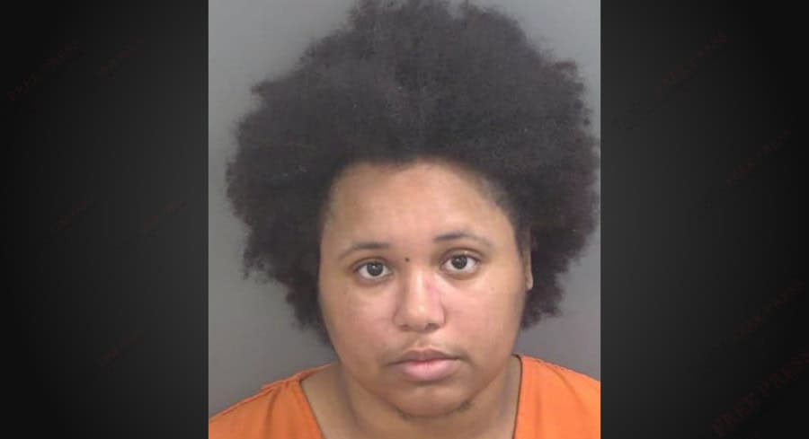 Virginia Woman Extradited To Florida Over Threats To State Lawmaker And Judge