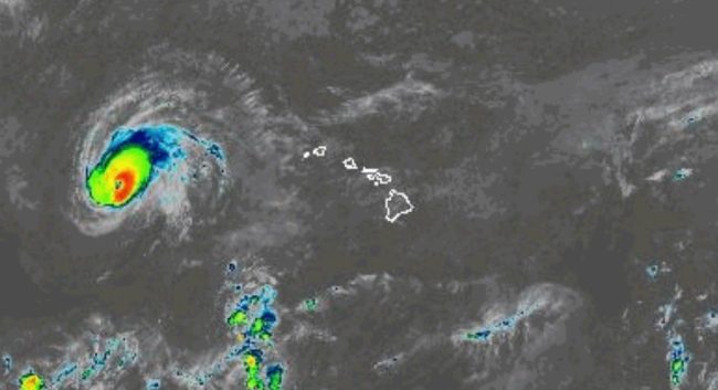 National Hurricane Center