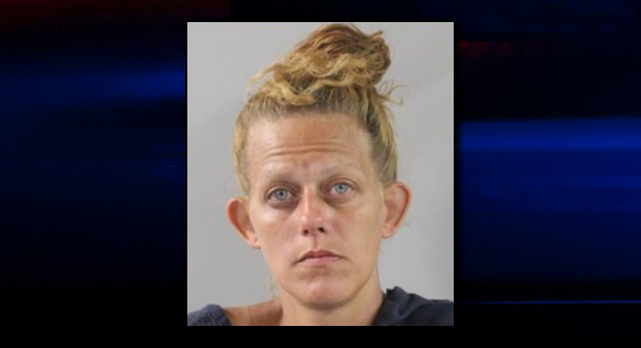 Lakeland Woman Arrested After Deputy Finds Meth On Her ID Card