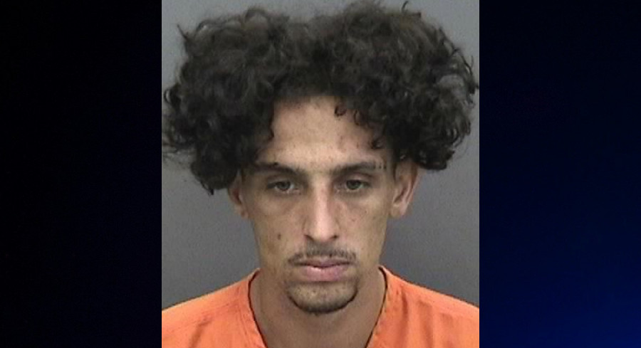 Dashcam Footage Leads To 18-Year Prison Term For Tampa Pizza Shop Robber