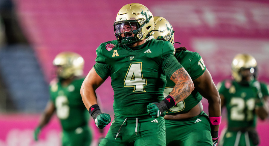 USF's Lee Roy Selmon Honoree Mike Williams Is Easy To Root For
