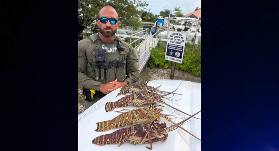 North Carolina Man Jailed In Florida Keys Over Undersized Lobsters