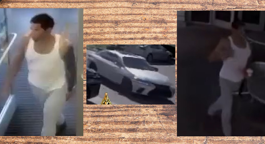 Deputies Seek Driver Who Pocketed Lost Wallet Outside Davenport Wawa